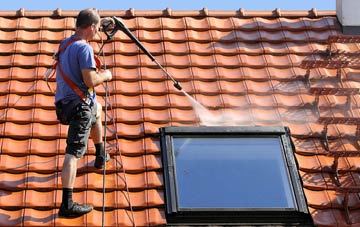 roof cleaning Colyford, Devon