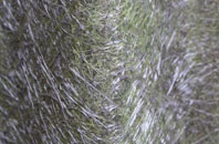 Colyford fibreglass roof work